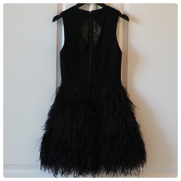 ALICE + OLIVIA Kiara Feather Dress - Picture 11 of 12